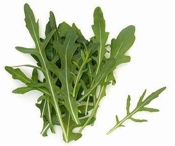 Rucola-Salat