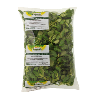 Lamb's lettuce