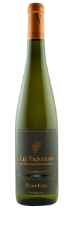 Pinot Gris GPC