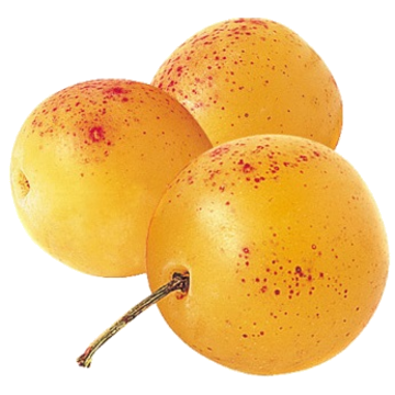 Mirabelles