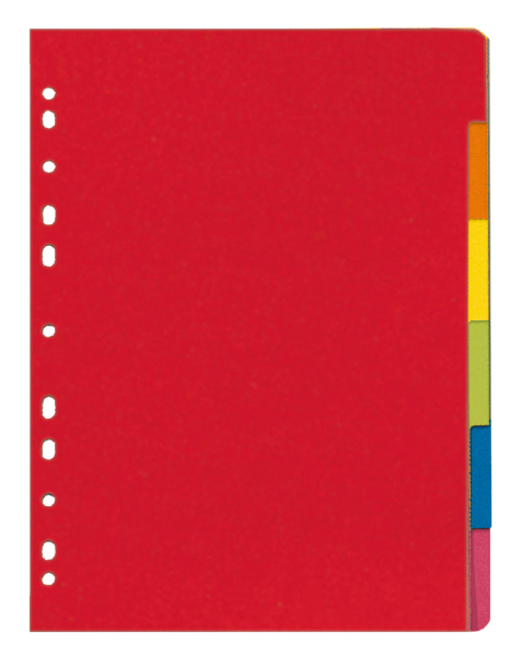 A4 Trennwand mat 6 Tabs