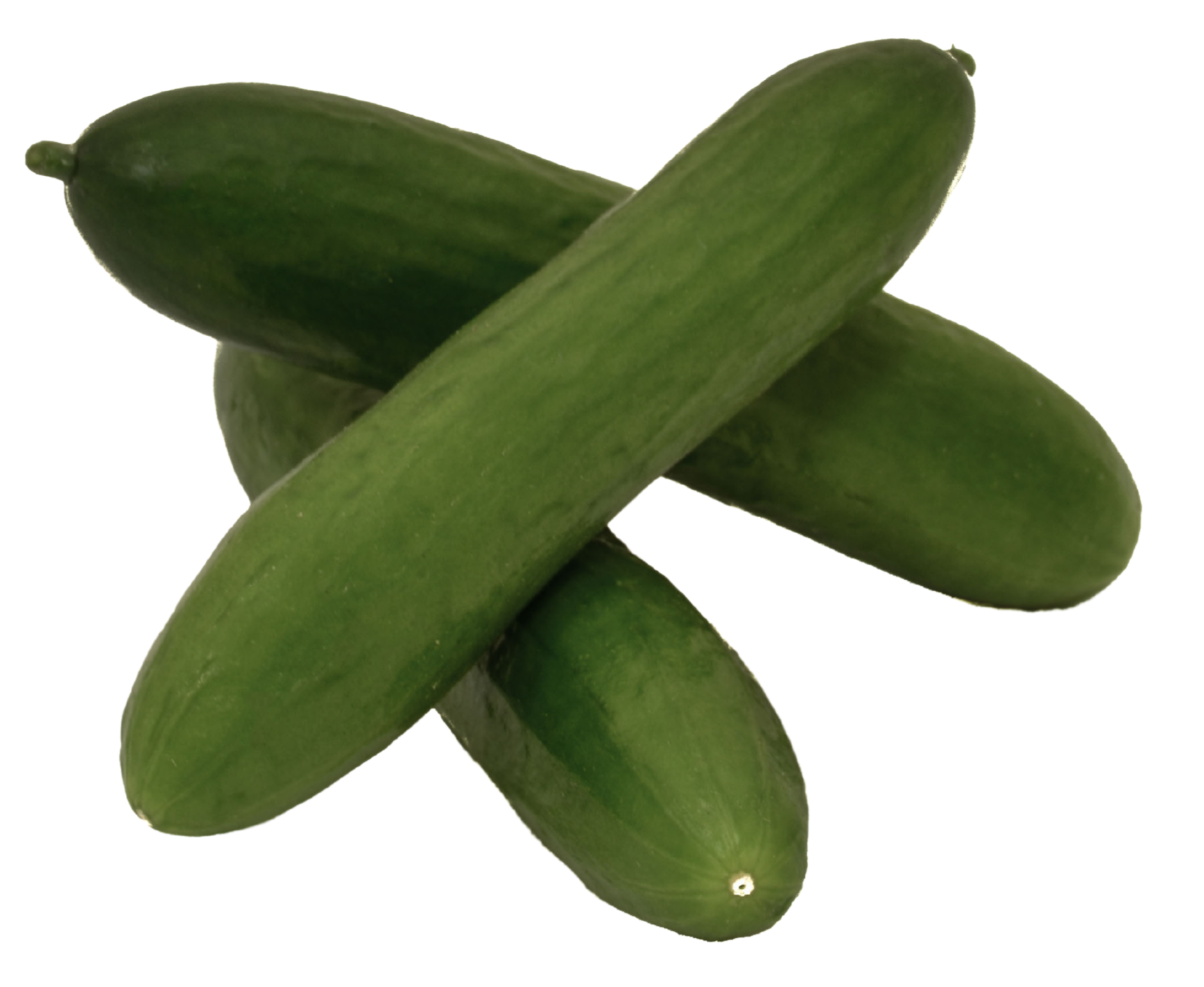 Mini-Gurken