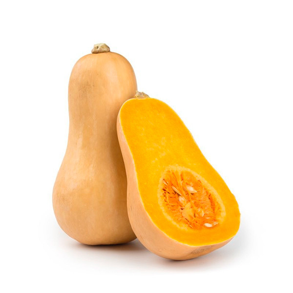 Courge Butternut Bio