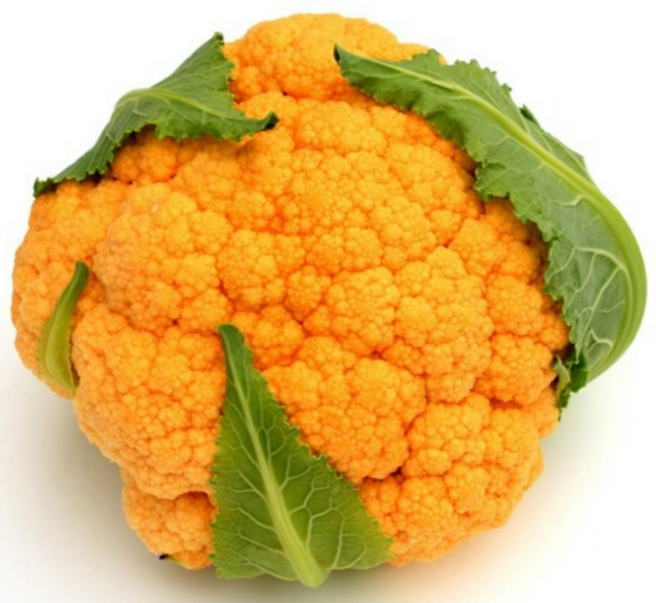 Chou Fleur Orange O.S.A