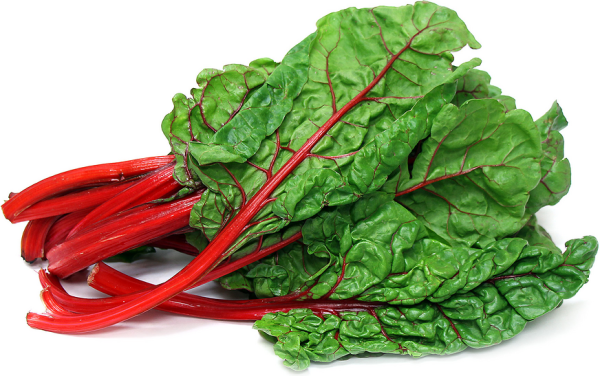 Pousse Red Chard