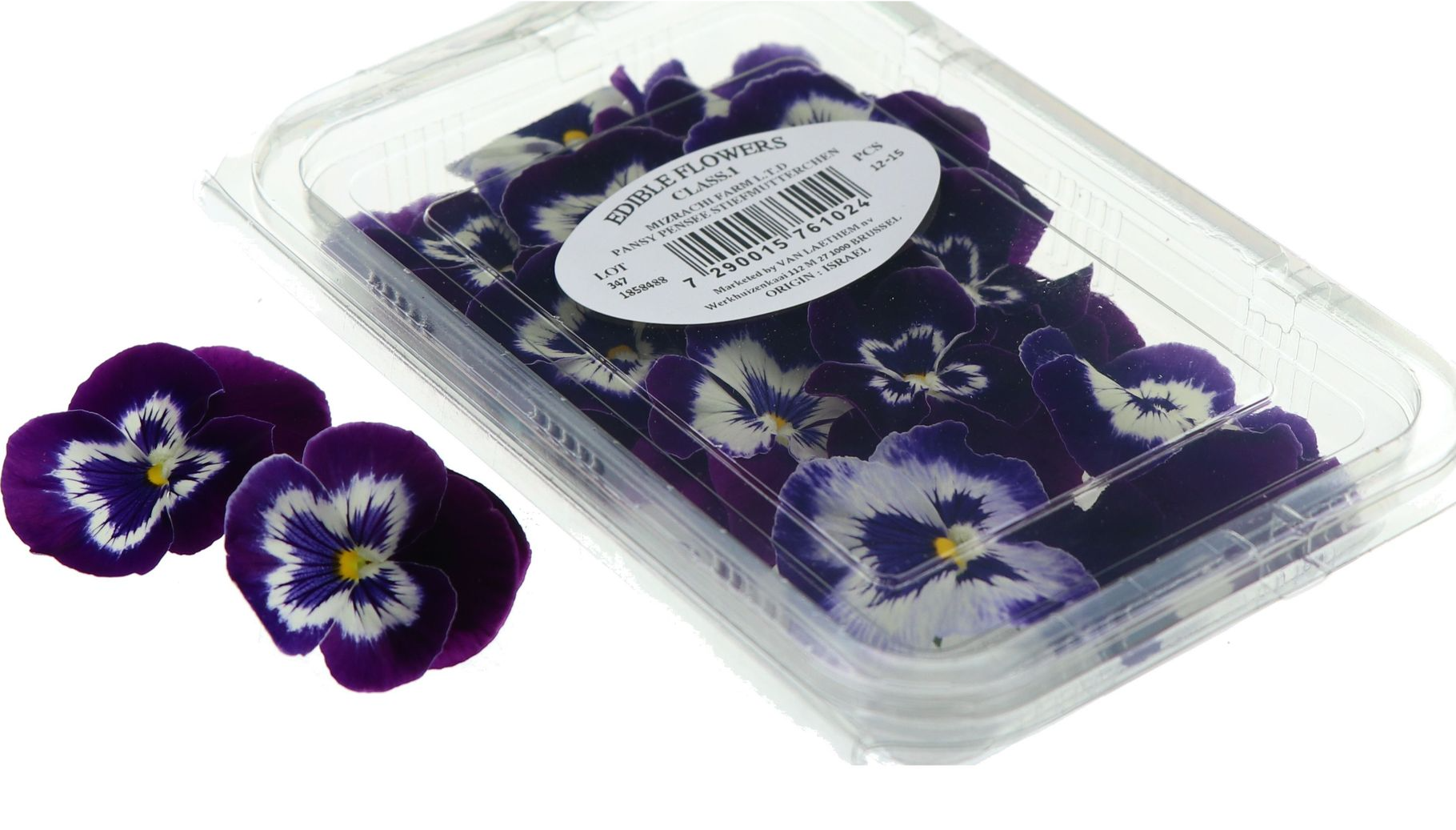 Fleur comestible Pensee Violette