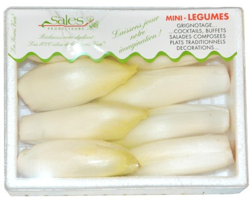 Mini Chicory