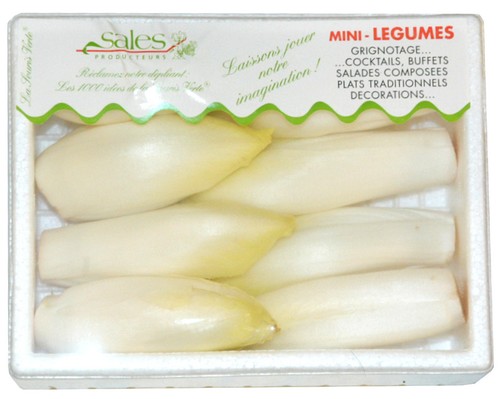 Mini Chicory